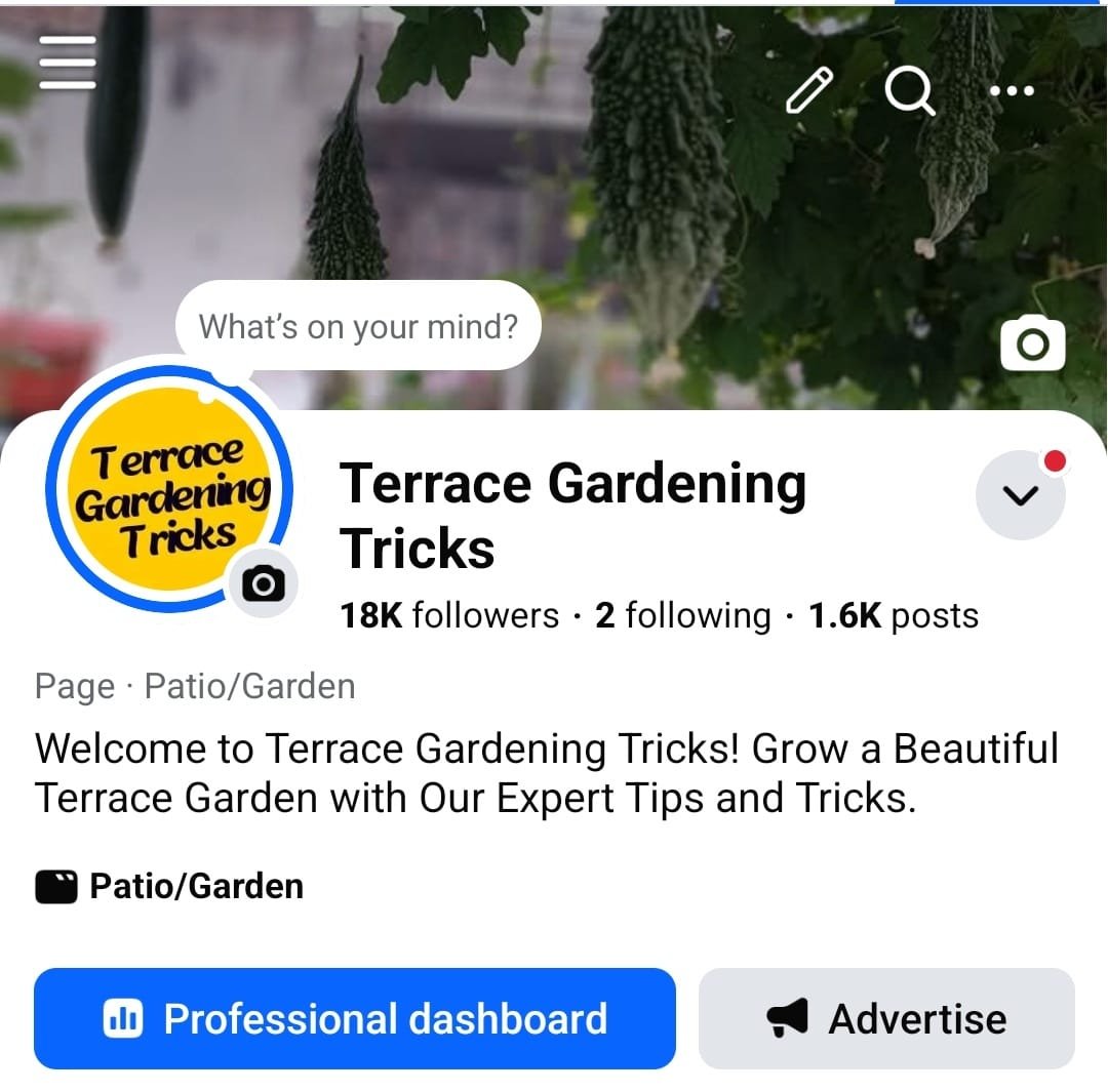 Terrace Gardening Tricks Facebook Page